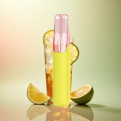 Snowplus Dash 4000 Puffs Citroen IJsthee Keramische 530 mAh