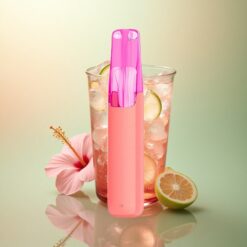 Snowplus Dash 4000 Puffs Hibiscus IJsthee Ceramic 530 mAh