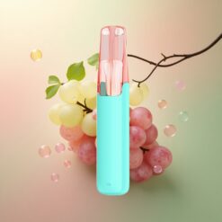 Snowplus Dash 4000 Puffs Zure Druif Ceramic 530mAh