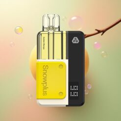 Snowplus Swift 5000 Puffs Gouden Mango 2ml 1000mAh