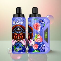 VapSolo VIKING 12000 Puffs Blauwe Bes Framboos 22ml Type-C 20mg Nicotine