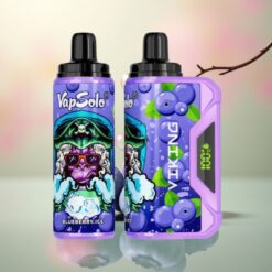 VapSolo VIKING 12000 Puffs Blauwe Bes Type-C 22ml Nicotine 20/50mg