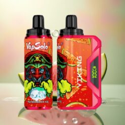 VapSolo VIKING 12000 Puffs Watermeloen IJs Type-C & 20 mg/ml Nicotine