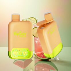 Vapsolo Twins 20000 Puffs Citroen Limoen & Watermeloen IJs - 40 ml Vloeistof - 20mg/ml Nicotine - Type-C