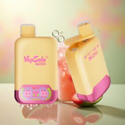 Vapsolo Twins 20000 Puffs Watermeloen IJs & Aardbei Mango - 40 ml E-Liquid, Type-C Opladen