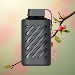 VOZOL GEAR 10000 Puffs Cederbessen 500mAh 20ml