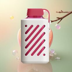 VOZOL GEAR 10000 Puffs Perzik IJs 20ml 500mAh