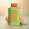VOZOL GEAR 10000 Puffs Perzik Mango Watermeloen 500mAh 20ml