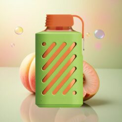 VOZOL GEAR 10000 Puffs Perzik Mango Watermeloen 500mAh 20ml