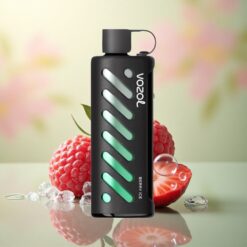 VOZOL Gear Shisha 25000 Puffs Bes Ice Dual Mesh 1000mAh