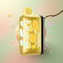 VOZOL RAVE 40000 Puffs Mango IJs Gloed Vibrant 1000mAh