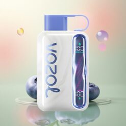 VOZOL STAR 40000 Puffs Blauwe Bes Munt 1000mAh 20mg Nicotine