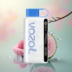 VOZOL STAR 9000/12000 Puffs Blauwe Framboos IJs met S.i.L.C TECH en 650mAh