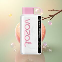 VOZOL STAR 9000/12000 Puffs Perzik IJs met 650mAh en gerecycled plastic
