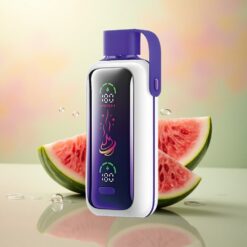 VOZOL Star 20000 Puffs Framboos Watermeloen Dual Mesh 650mAh