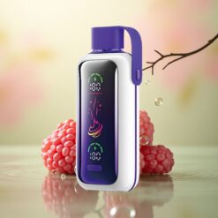 VOZOL Star 20000 Puffs Gemengde Bessen Dual Mesh 650mAh