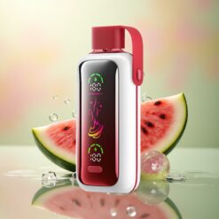 VOZOL Star 20000 Puffs Watermeloen IJs Dual Mesh 650mAh